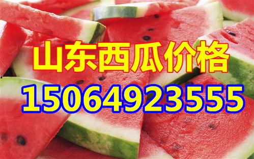 今日头瓜收购价格行情,涨跌互现，市场动态解析