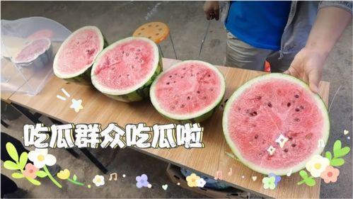 今日吃瓜现状,揭秘娱乐圈最新热点事件