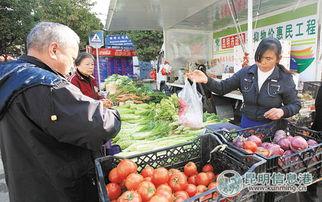 昆明虹桥批发市场今日菜价瓜尖,瓜尖价格走俏