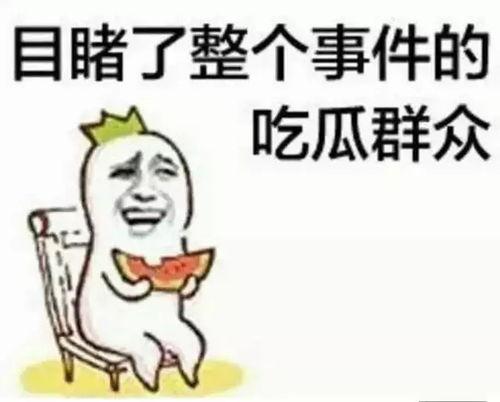 朝阳吃瓜群众今日吃瓜宋体,宋体字体背后的故事