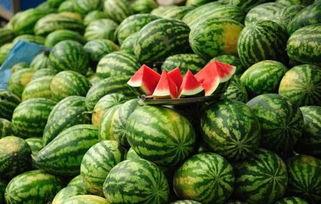 广西茄瓜今日收购价格表,行情稳中向好