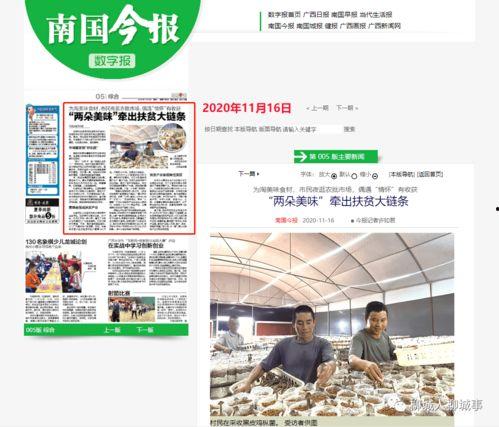 丽水今日吃瓜新闻报道最新消息,揭秘今日热点事件幕后真相