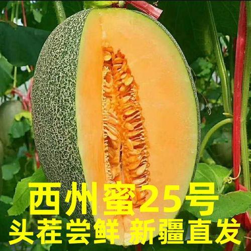 海南摘哈密瓜今日价格表,今日行情一览