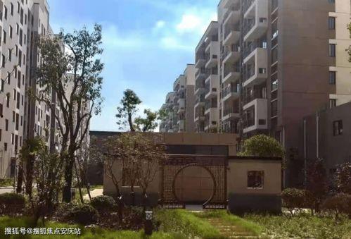 乳瓜今日行情价格表最新,最新价格表揭示涨跌动态”