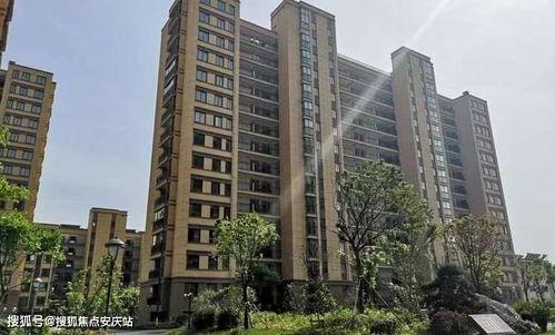 乳瓜今日行情价格表最新,最新价格表揭示涨跌动态”