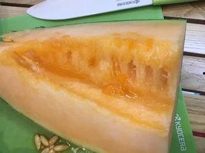 今日吃瓜柳州,街头巷尾尽是欢乐时光