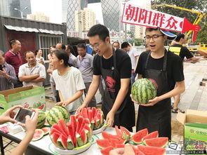 朝阳群众吃瓜今日吃瓜,揭秘京城街头新鲜事