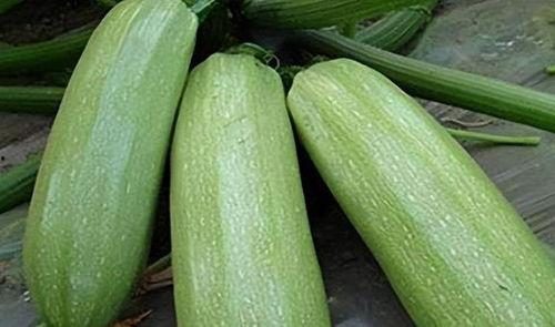 今日吃瓜9,揭秘娱乐圈最新热点事件