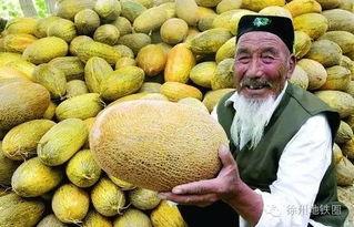 郑州万邦哈密瓜今日价位,价格行情一览