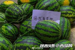吃瓜今日,揭秘娱乐圈最新热点事件