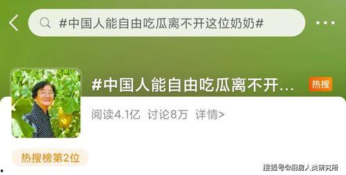 今日吃瓜小说,揭秘今日吃瓜小说背后的秘密世界