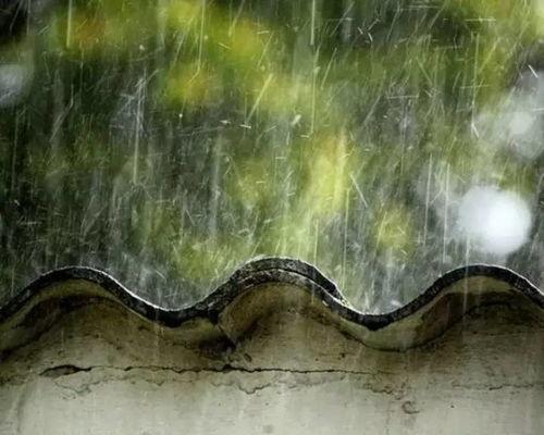 今日的雨就像瓜尔佳氏,润泽大地万物生