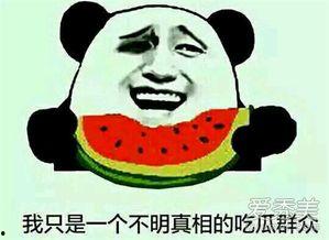 今日吃瓜往日吃瓜的意思,一场全民娱乐的演变之旅