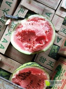 云南省德宏州今日瓜价,今日瓜价行情一览