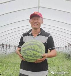 吃瓜群众今日吃瓜视频,揭秘吃瓜群众热追视频背后的故事
