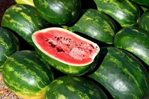 今日吃瓜1,揭秘娱乐圈最新热点事件