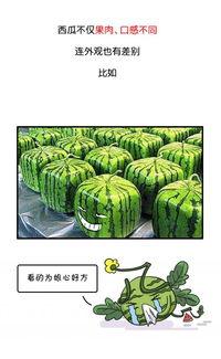 吃瓜网今日吃,揭秘娱乐圈最新热点事件
