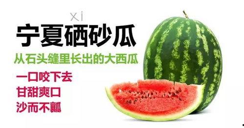 今日最新宁夏硒砂瓜价格,市场行情持续升温”