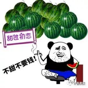 许昌今日吃瓜,吃瓜群众聚焦热点事件
